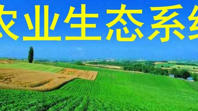 玻璃温室大棚：揭秘其成本构成与性价比