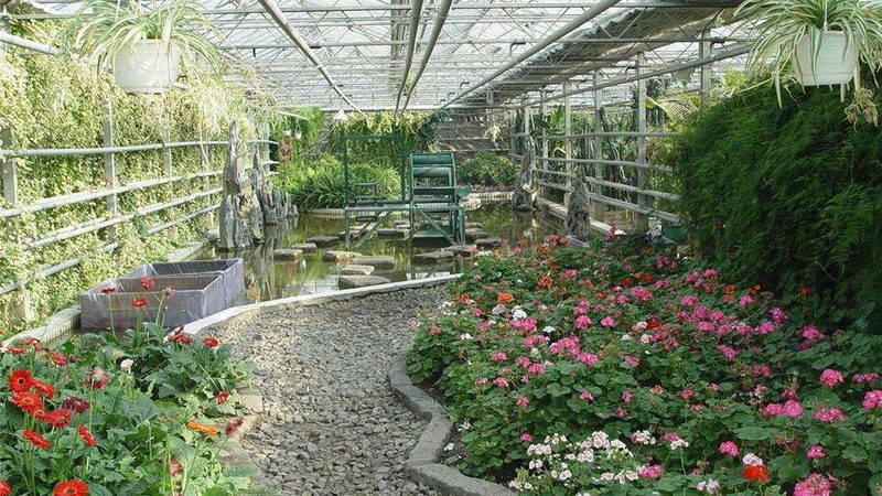 屋顶水果种植箱：如何打造城市中的绿色果实乐园