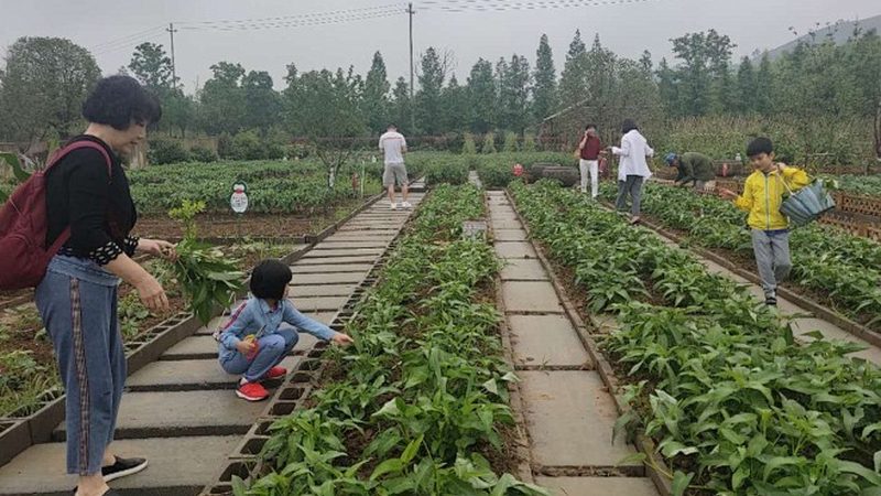 农业项目如何落地：关键步骤与注意事项