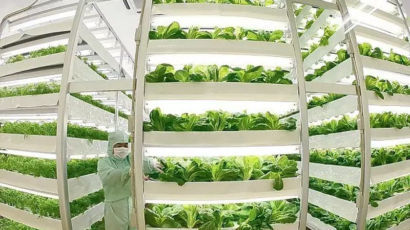 水果批发市场税收优惠申请方法解析
