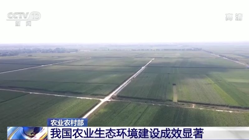 家庭农场种植养殖占比：如何平衡效益与可持续性**