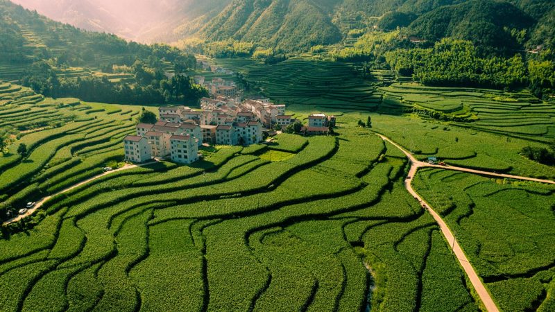 果蔬配送系统与生鲜配送系统：本质区别与适用场景