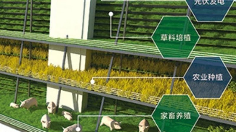 家庭农场粮食种植，如何选择合适地区？**