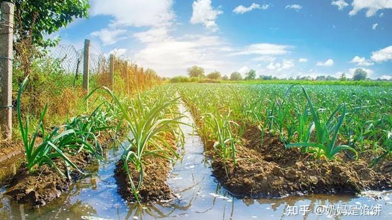 农业植保无人机维修，费用如何考量？**