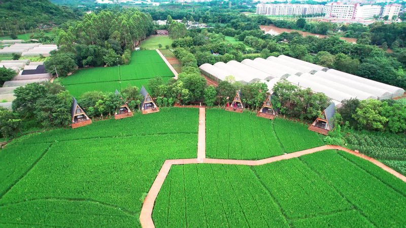采摘园选址：政策要求与关键因素解析**