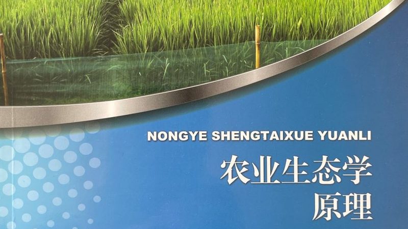 选址关键：揭秘农业公司粮食种植基地的黄金法则**