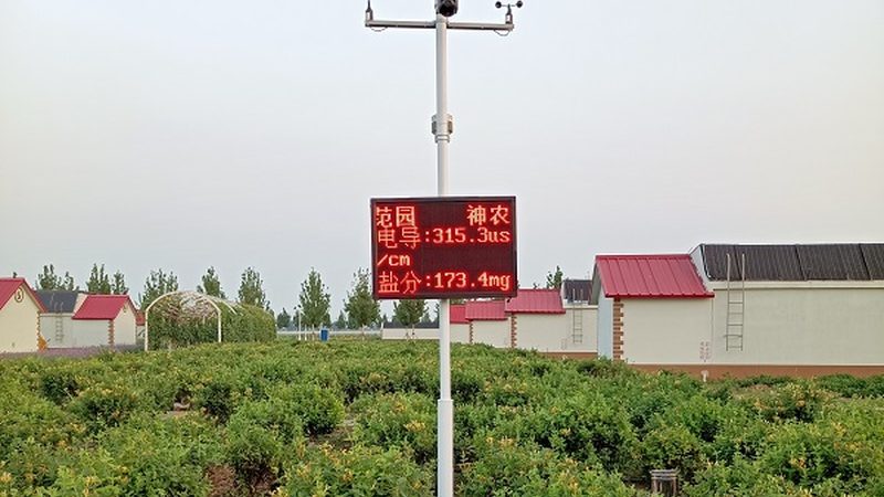 果蔬配送公司哪家靠谱