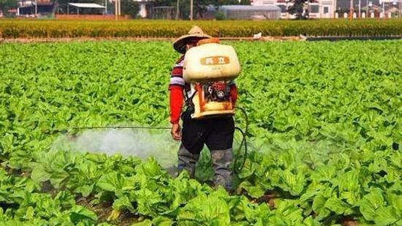 农民合作社注册审批时间到底要多久