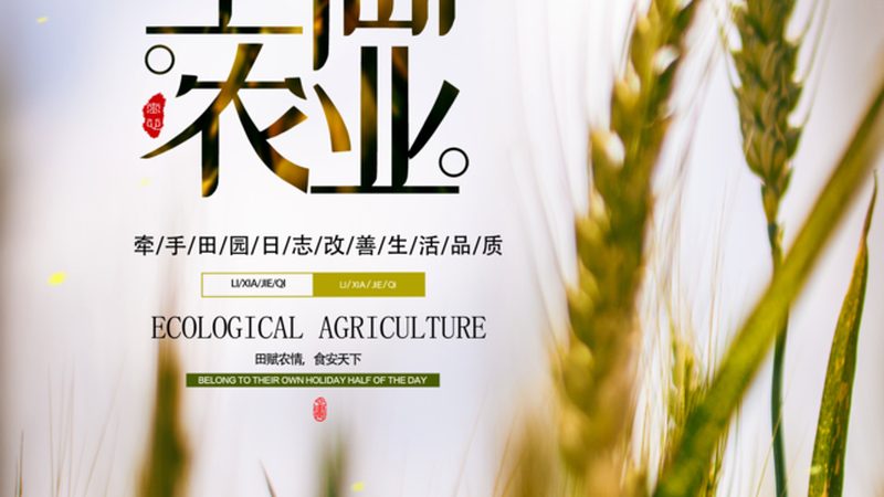 果蔬配送加盟的坑，从选错供应链开始